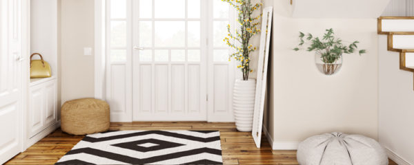 tapis d’entrée